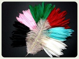 Перья для декорирования ( набор 10-12см, цвет в ассортименте)