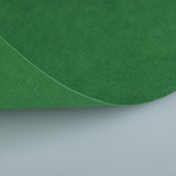 Бумага для пастели LANA COLOURS 21 х 29,7см, 160г/м2, зеленый еловый [15723127]
