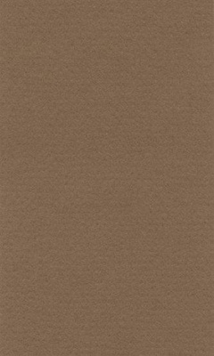 Бумага для пастели LANA COLOURS 21 х 29,7см, 160г/м2,  сиена  [15723152]