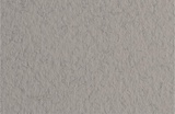 Бумага для пастели Fabriano TIZIANO 50 х 65см, 160г/м2, серый теплый [52551028]
