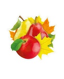 Мини-Плакат вырубной на 2-хстр. скотче Груши, яблоки с листьями клена (10-10.02-0041)