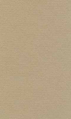 Бумага для пастели LANA COLOURS 70 х 100см, 160г/м2, бело-серый  [15011564]