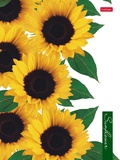 Тетрадь А5 160л. со сменным блоком Sunflowers, твердая обложка, глянцевая ламинация, [160ТК5В1_23016]