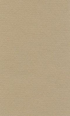 Бумага для пастели LANA COLOURS 42 х 29,7см, 160г/м2, бело-серый, [15723181]