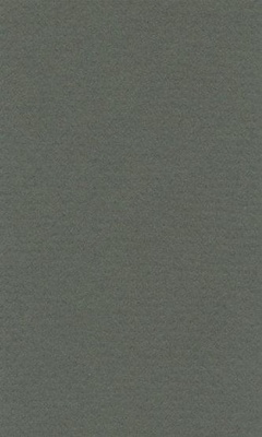 Бумага для пастели LANA COLOURS 21 х 29,7см, 160г/м2, виридоновый зеленый [15723145]