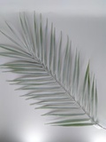 Ветка декоративная пальмовая 50 см, пластик
