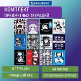 Комплект (12шт.) предметных тетрадей 48л. "ANIME", со справочным материалом, глянцевый УФ-лак [404608]