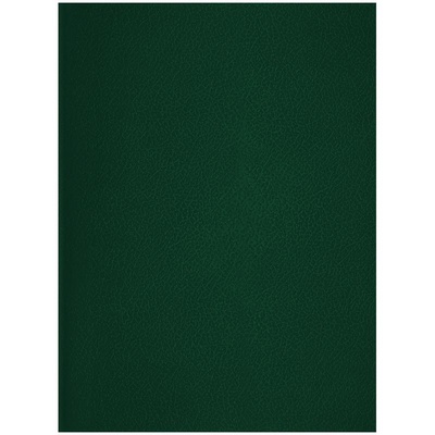 Тетрадь бумвинил А4 96л., клетка, офсет, 60 г/м2,  (цвет: зелёный) 256701