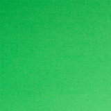 Текстурированный кардсток 30,5*30,5см 230гр/м Зеленый,  [SCB201213]