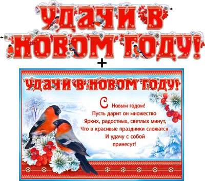 Гирлянда + Плакат "Удачи в Новом году!", 700-494-Т [20494]