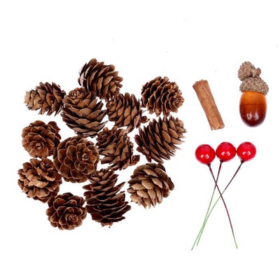 Набор природного декора "Пряные шишки" WS-027, 3608268