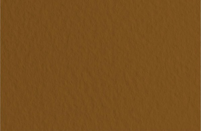 Бумага для пастели Fabriano TIZIANO 50 х 65см, 160г/м2, кофейный / Caffe  52551009