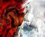 Картина по номерам 40х50см Красная и белая лошади VA-0483 (сложность * * *)