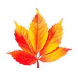 Украшения на скотче "Осенний лист" глиттер, 18 х 17 см, 4422210 