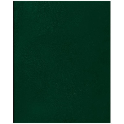 Тетрадь бумвинил А5 96л., клетка, офсет 60 г/м2, белизна 100% , с полями (цвет: зеленый)  252731