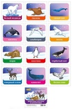 Обучающие карточки Животные Арктики и Антарктики 12шт. Миленд,  [5-14-0242]