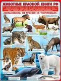Плакат демонстрационный Р2-283 Животные Красной книги РФ  20283