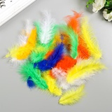 Набор перьев для декора страусиные 24шт. 10-12см 6 цветов, яркие, ассорти, 5132648