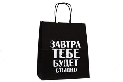 Пакет подарочный крафт 24*14*28см «Завтра тебе будет стыдно», 18+ 705520