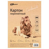 Картон переплетный 1,5 мм 1020 г/кв.м А4, комплект 10 листов, ArtSpace, в пакете, Пк10_50413 