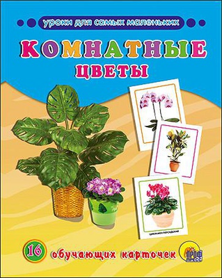 Карточки д/самых маленьких обучающие Комнатные цветы 16шт.,  [978-5-378-25300-5]