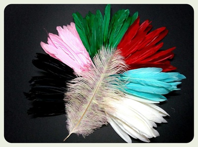 Перья для декорирования ( набор 10-12см, цвет в ассортименте)