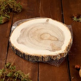 Деревянная заготовка (дерево) Спил вяза, шлифованный с одной стороны, 23 см 4370388