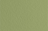 Бумага для пастели Fabriano TIZIANO A1+ 70 х 100 см, 160г/м2, оливковый / Muschio 52811014