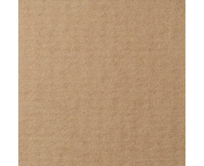 Бумага для пастели LANA COLOURS 21 х 29,7см, 160г/м2,  светло-коричневый [15723151]