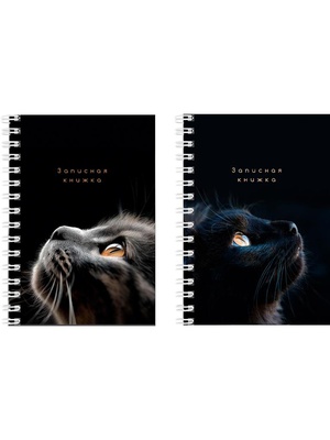 Записная книжка А6 80л. на гребне, клетка, "Взгляды котиков", обложка мягкая, цветной мелованный картон, 80-3751