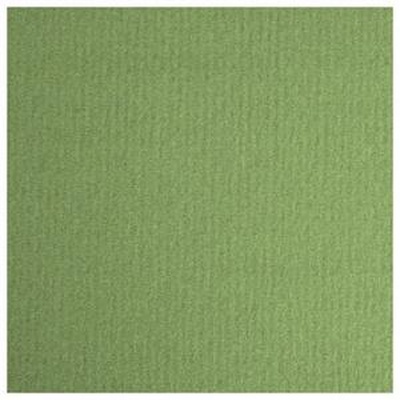Бумага для пастели LANA COLOURS 70 х 100см, 160г/м2, зеленый сок [15011581]