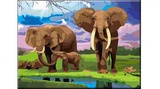Раскраска по № А3 Семья слонов 3+ [Р-5480]