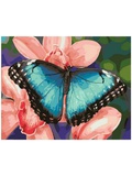 Картина по номерам 40x50см Голубая бабочка GX40329 (сложность***)