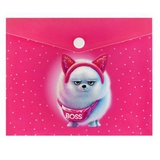 Папка на кнопке А6 (170х140мм) с рисунком Босс шпиц, 180мкм, УФ печать [69034]