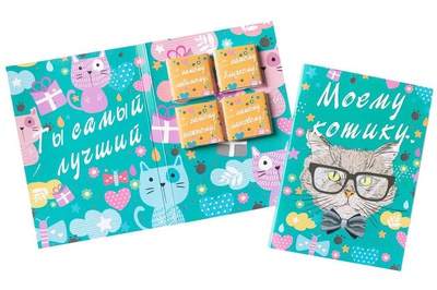 Шоко открытка на 4 плитки "Моему котику", 21*15см, 700082