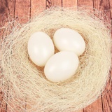 Набор яиц для декорирования, из пластика в гнезде 2*2*6см (3шт) цвет белый 2794018