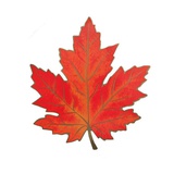 Мини-плакат вырубной на 2-хстр. скотче Бордовый кленовый лист (А1-06-А)