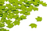 Пайетки 22мм голографические Листья клена, светло-зеленый 10г, TBY-FLK639-010