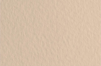 Бумага для пастели Fabriano TIZIANO 21 х 29,7см, 160г/м2, цвет слоновой кости / Avorio 21297140
