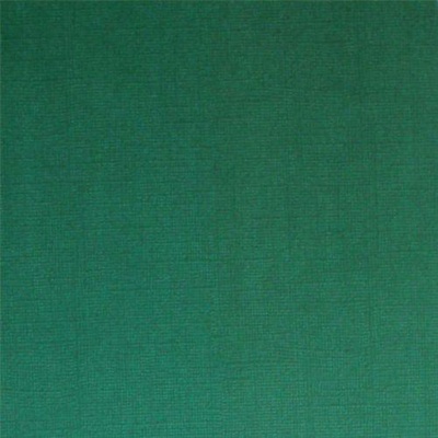 Текстурированный кардсток 30,5*30,5см 230гр/м Темно-зеленый,  [SCB201218]
