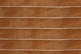 Лента бархатная (нейлон) 1.0см / 1м коричневый