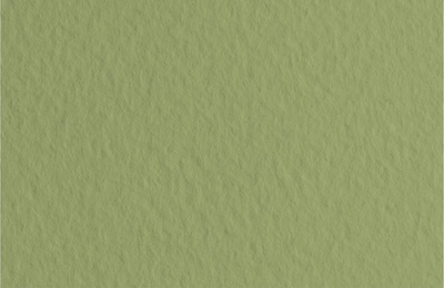 Бумага для пастели Fabriano TIZIANO A1+ 70 х 100 см, 160г/м2, оливковый / Muschio 52811014