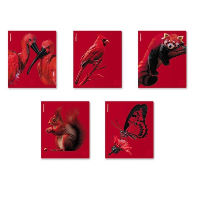 Тетрадь 48 л. клетка ErichKrause® Scarlet, скруг. уголки, ламинация soft-touch+выборочный УФ-лак_MIX-PACK ЕК64868