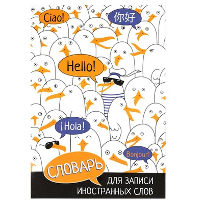 Тетрадь-словарь для записи иностранных слов 24л. А5 Чайки, мягкая обложка, мелованный картон, глянцевая ламинация, 69894
