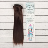Волосы - тресс для кукол "Прямые" длина волос 25 см, ширина 100 см, цвет № 4, 2294903