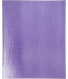 Тетрадь бумвинил А5 48л., линия, офсет 60 г/м2, белизна 100% , с полями (цвет: METALLIC фиолетовый) 48Т5бвВ2
