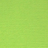Текстурированный кардсток 30,5*30,5см 216гр/м №28 Зеленое яблоко, [PST]