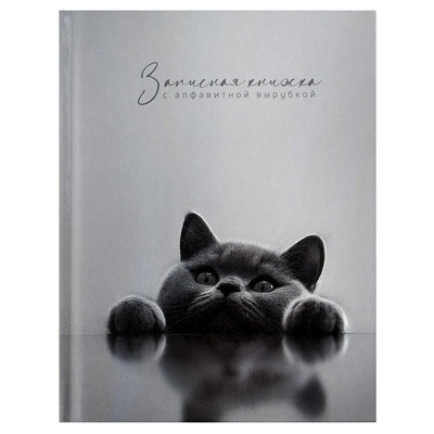 Записная книжка 120х150мм 80л. с алфавитной вырубкой, клетка, Британский кот, 7БЦ, глянцевая ламинация 74404