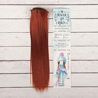 Волосы - тресс для кукол "Прямые" длина волос 25 см, ширина 100 см, цвет № 13 2294920   