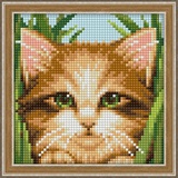 Картина стразами 15х15см, Зеленоглазый котенок, полная выкладка, квадратные стразы  АЖ-1640